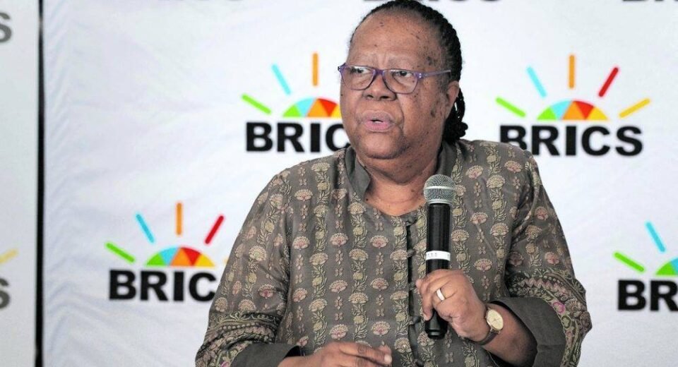 South Africa's International Relations Minister Calls for Gaza Ceasefire and Humanitarian Aid